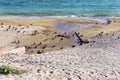 Poorly Treated wastewater is discharged into the sea on the coast in the area of Ã¢â¬â¹Ã¢â¬â¹the beach. Environmental pollution. Royalty Free Stock Photo